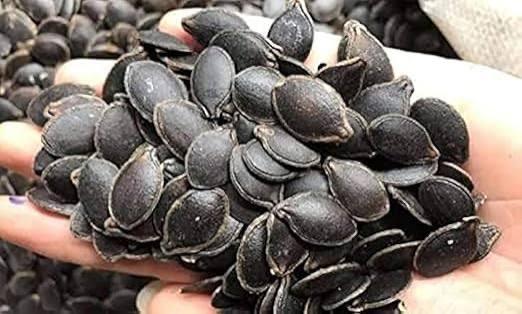 Seed Planting