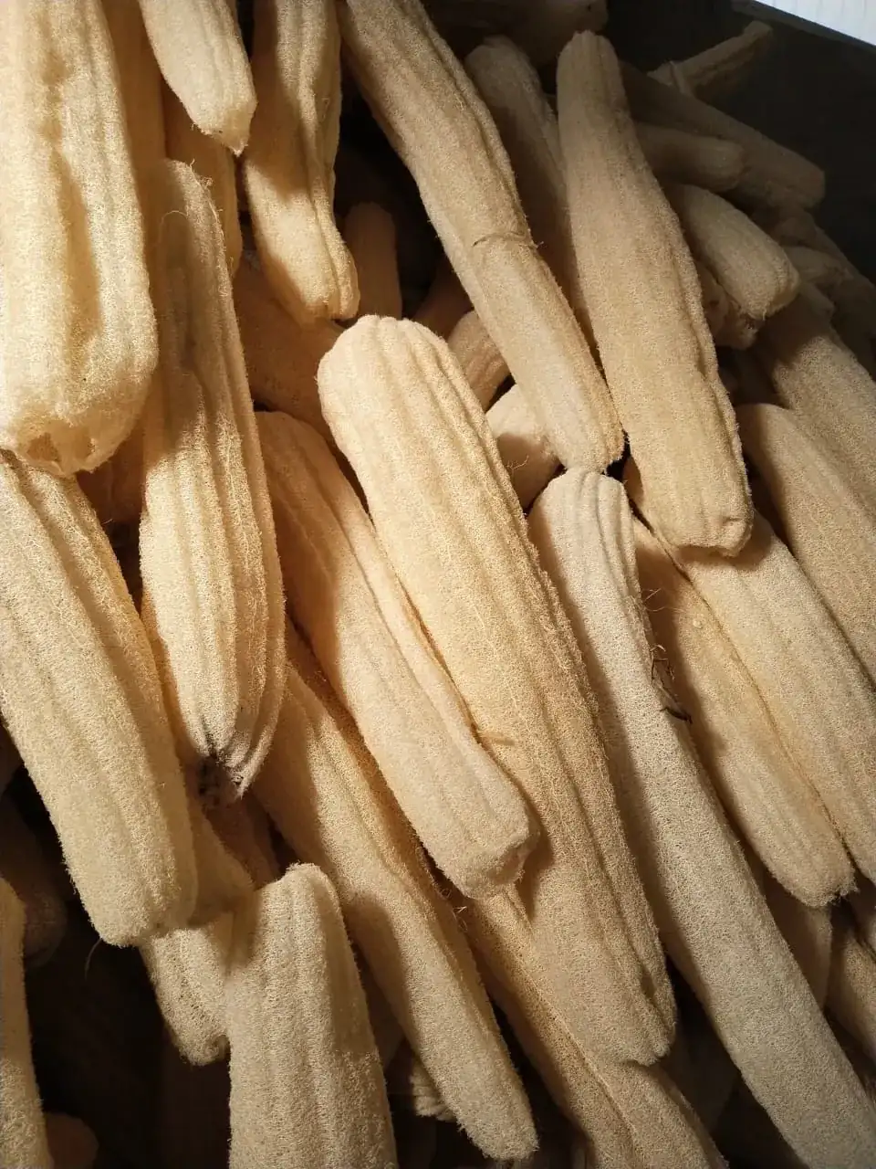 Raw Loofah (Raw Material Bales) view 4