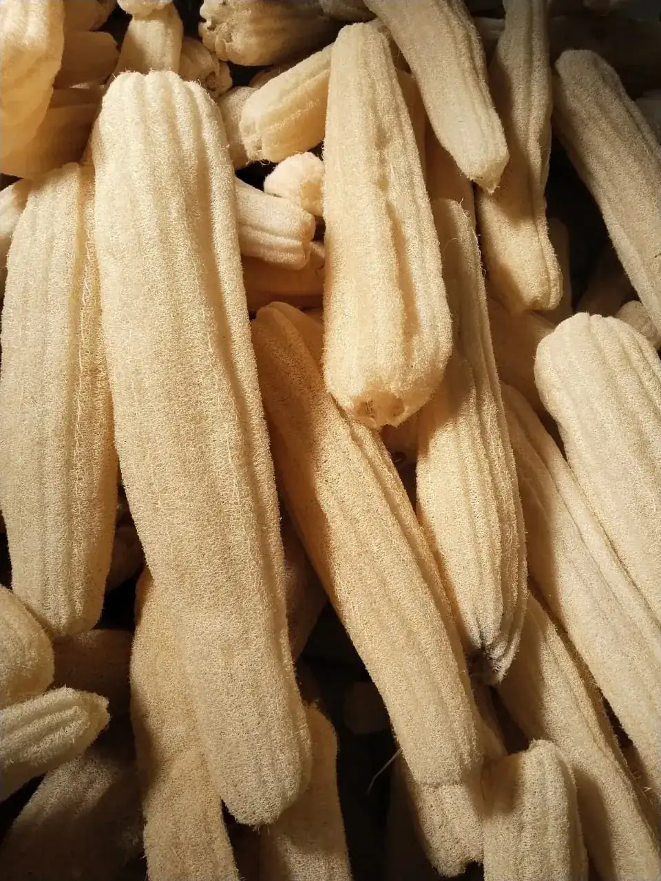 Raw Loofah (Raw Material Bales) view 5